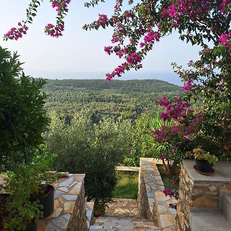 Vila Tatjana Konuk evi Vuno Dış mekan fotoğraf