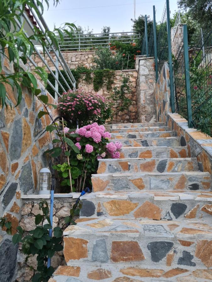Vila Tatjana Konuk evi Vuno Dış mekan fotoğraf