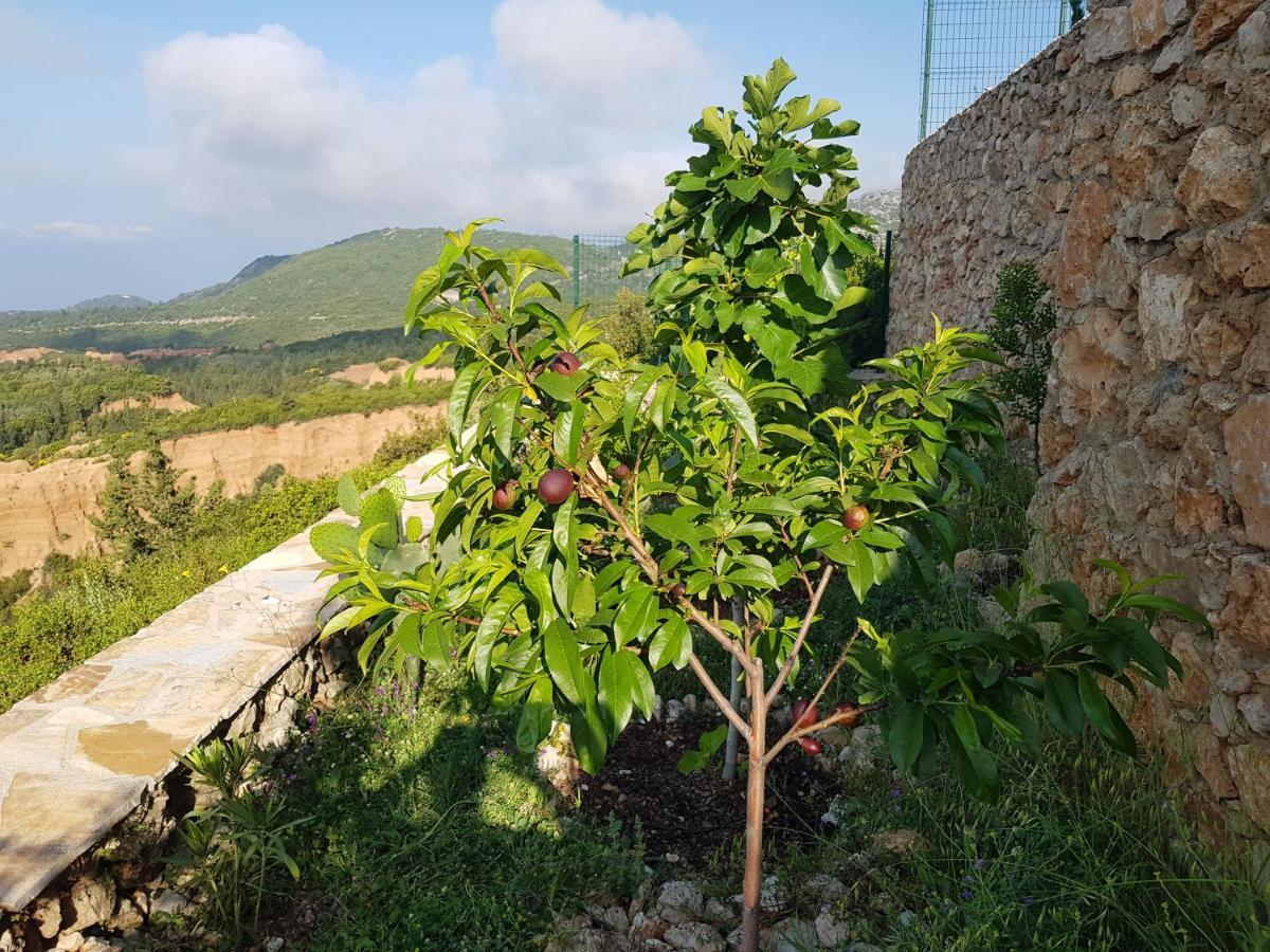 Vila Tatjana Konuk evi Vuno Dış mekan fotoğraf