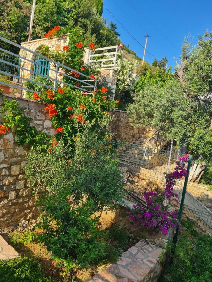 Vila Tatjana Konuk evi Vuno Dış mekan fotoğraf