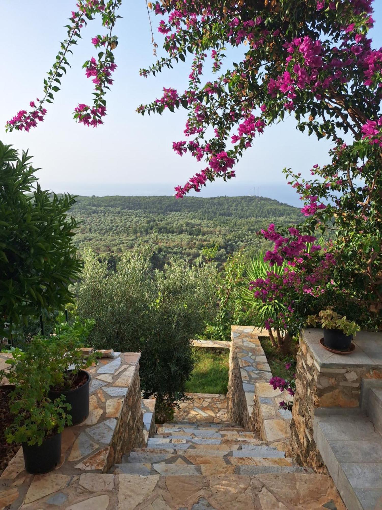Vila Tatjana Konuk evi Vuno Dış mekan fotoğraf