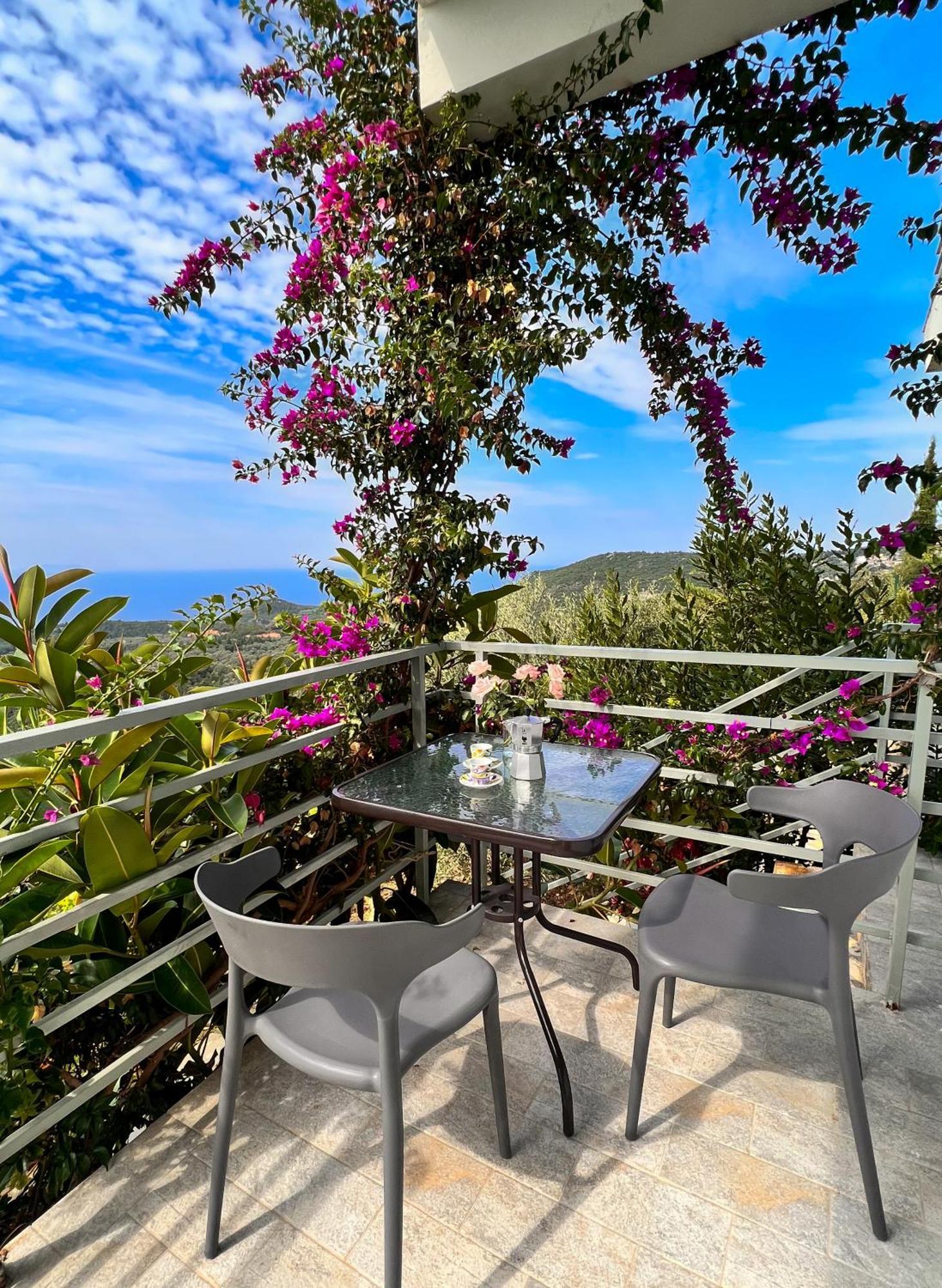 Vila Tatjana Konuk evi Vuno Dış mekan fotoğraf